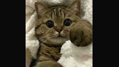 HUNNY_TT from Latvia