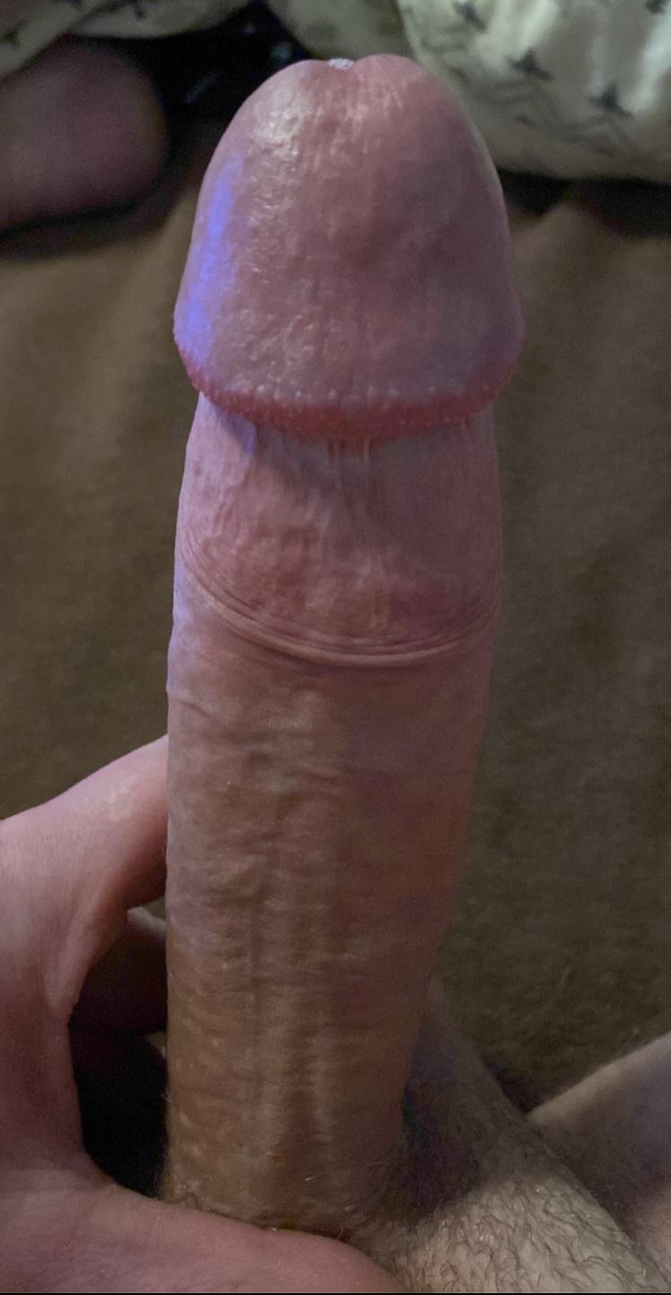 VielSperma93 Profile Image